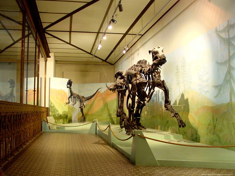 Museum voor natuurwetenschappen